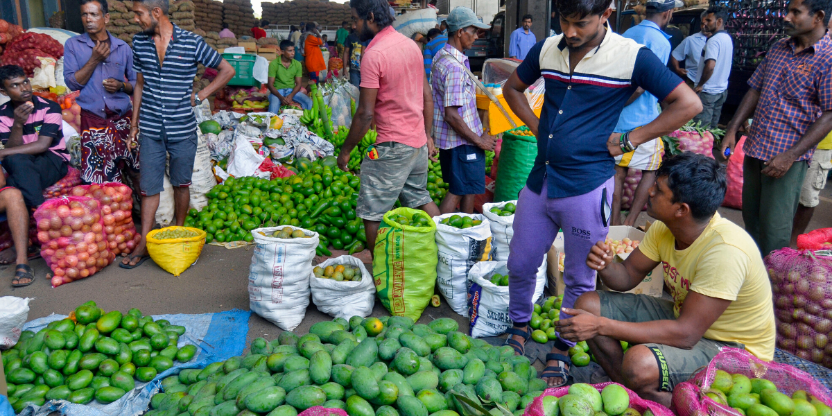 Les marchés colorés 
