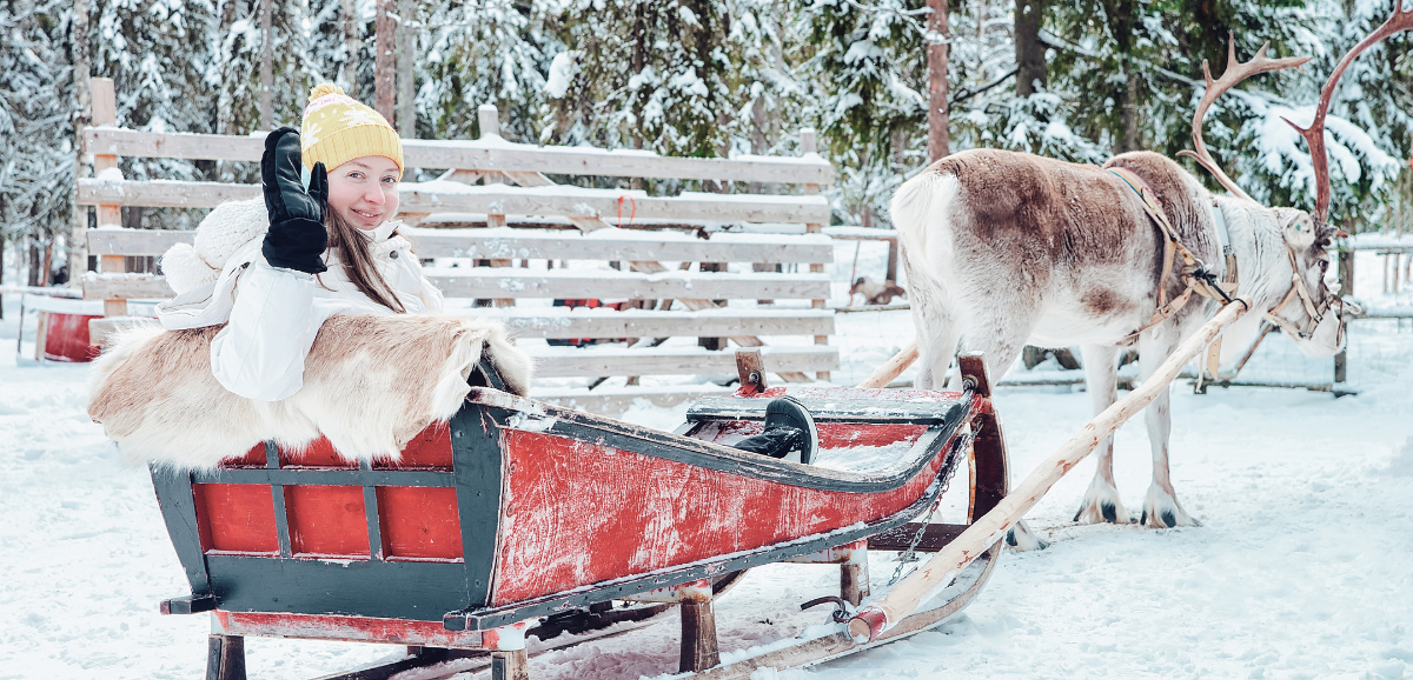 Bienvenue en Laponie suédoise !