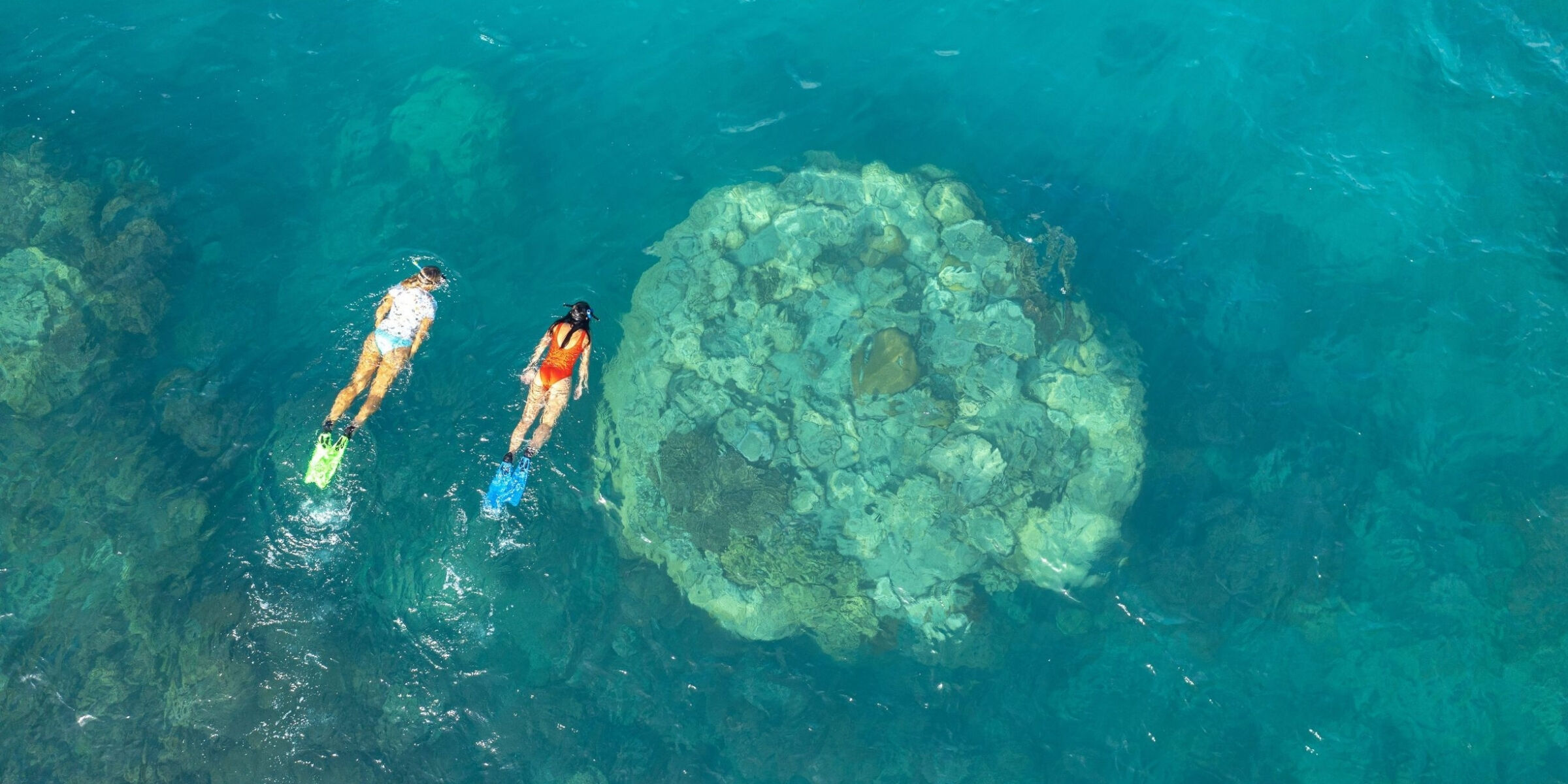 Snorkeling, Îles Whitsundays, Australie