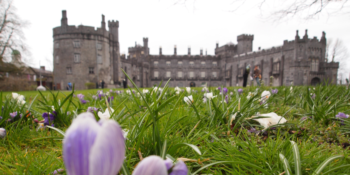 Puis découvrez la ville de Kilkenny 