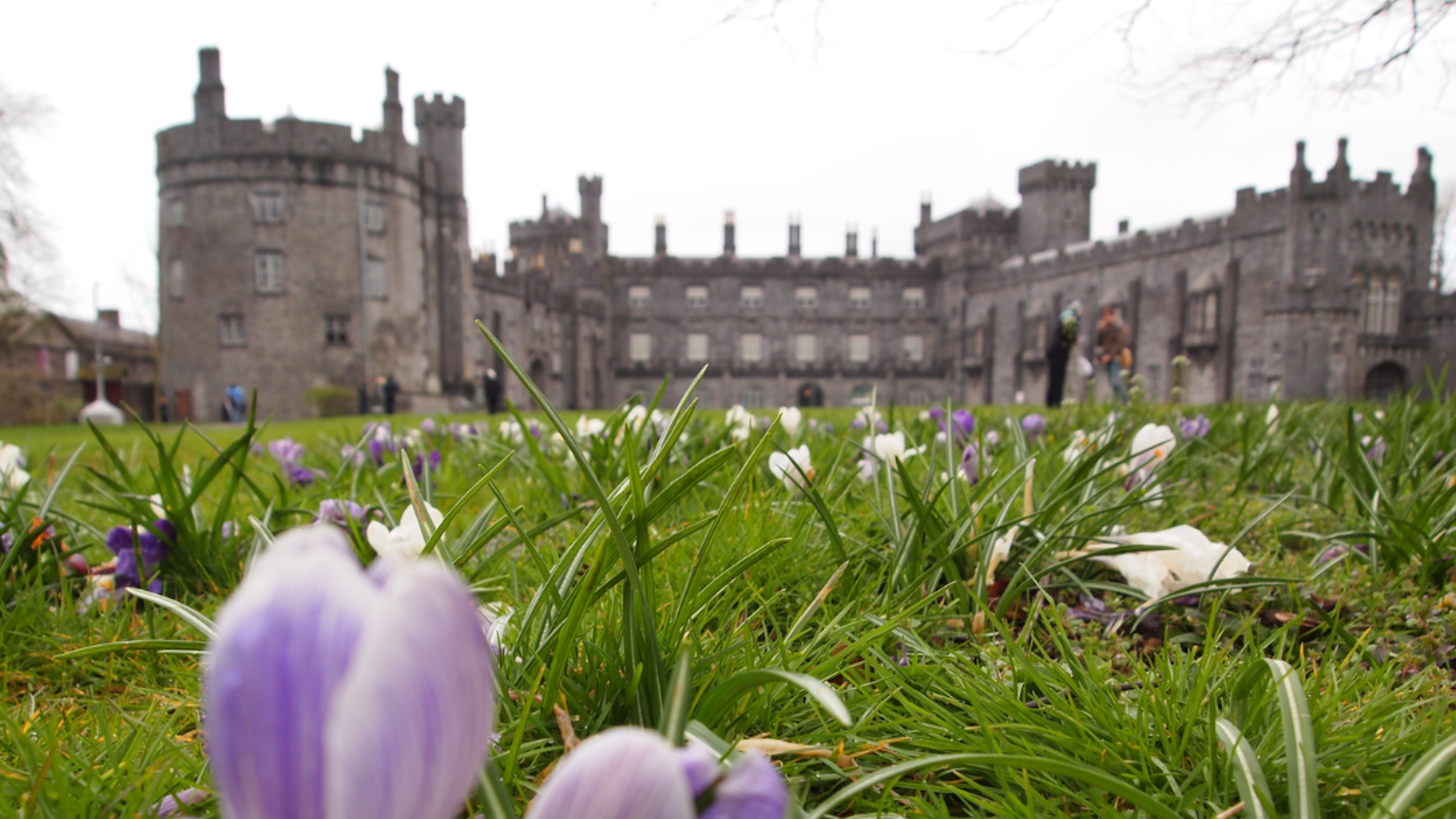 Puis découvrez la ville de Kilkenny