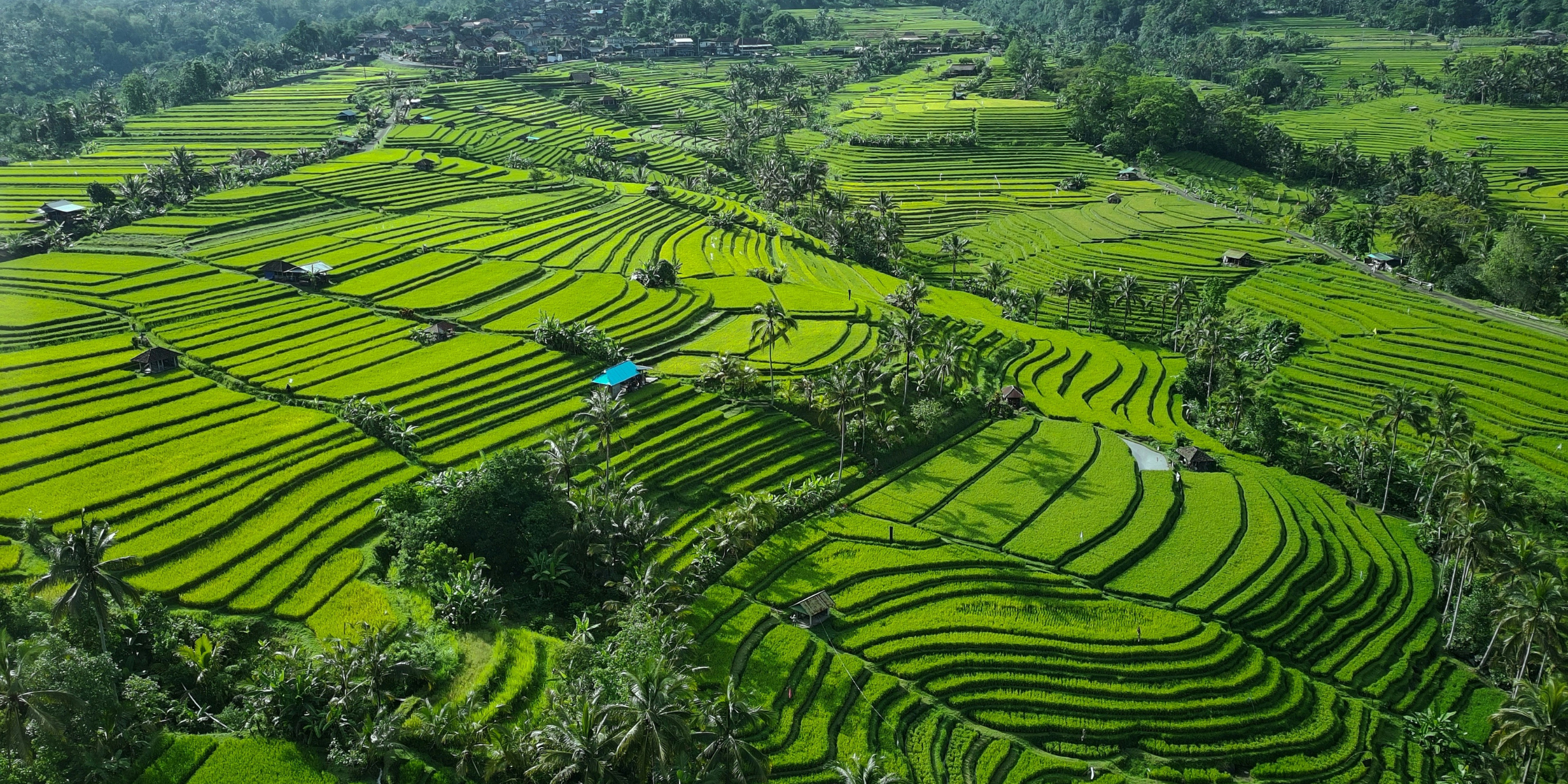 Rizières de Jatiluwih, Bali ©Eyestetix studio
