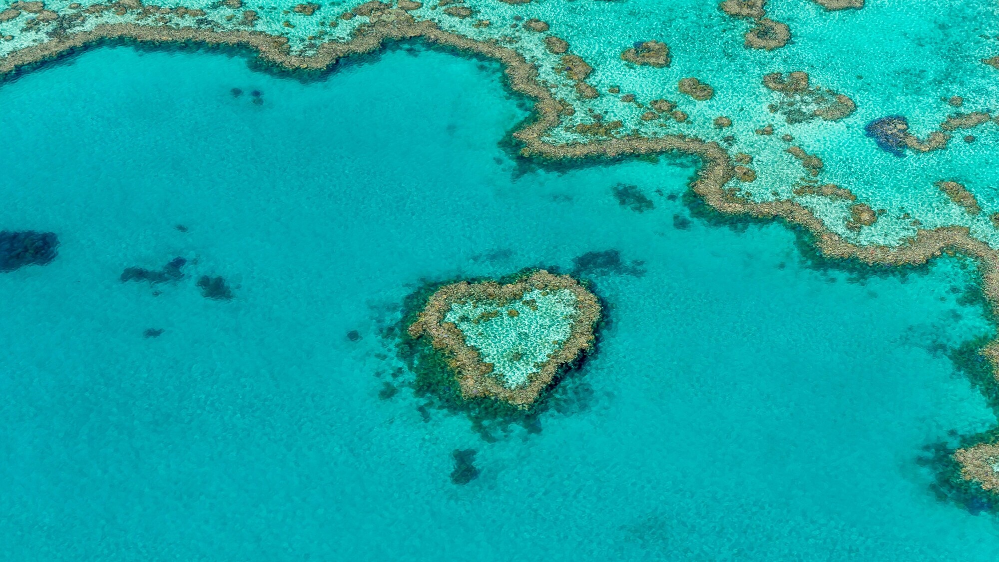 Heart Reef, Îles Whitsundays, Australie