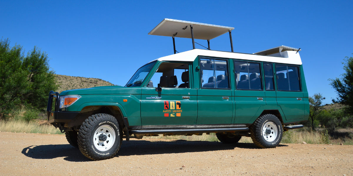 A bord de votre carrosse version savane 