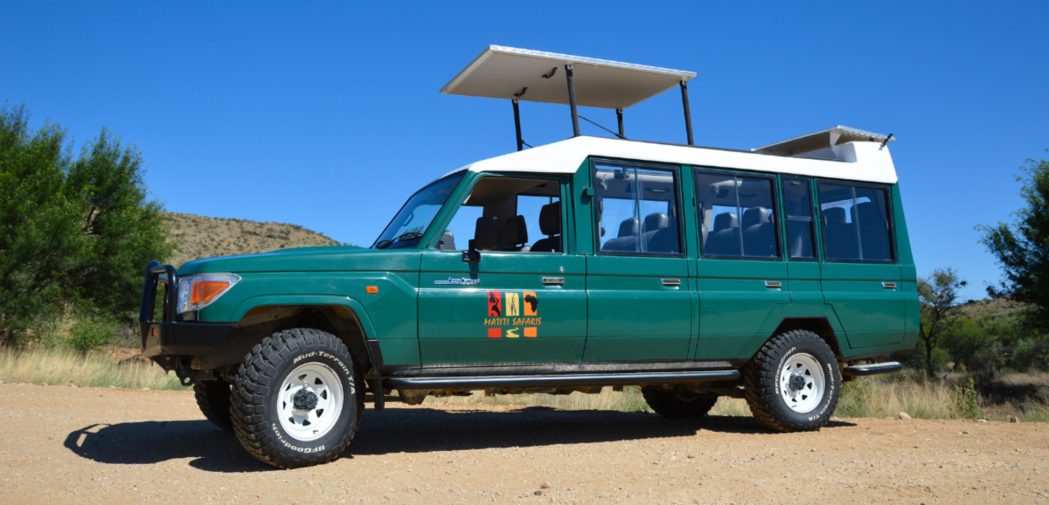 A bord de votre carrosse version savane