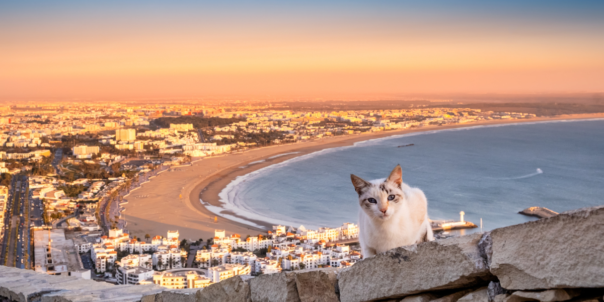 Profitez des vues sur la Baie d'Agadir 