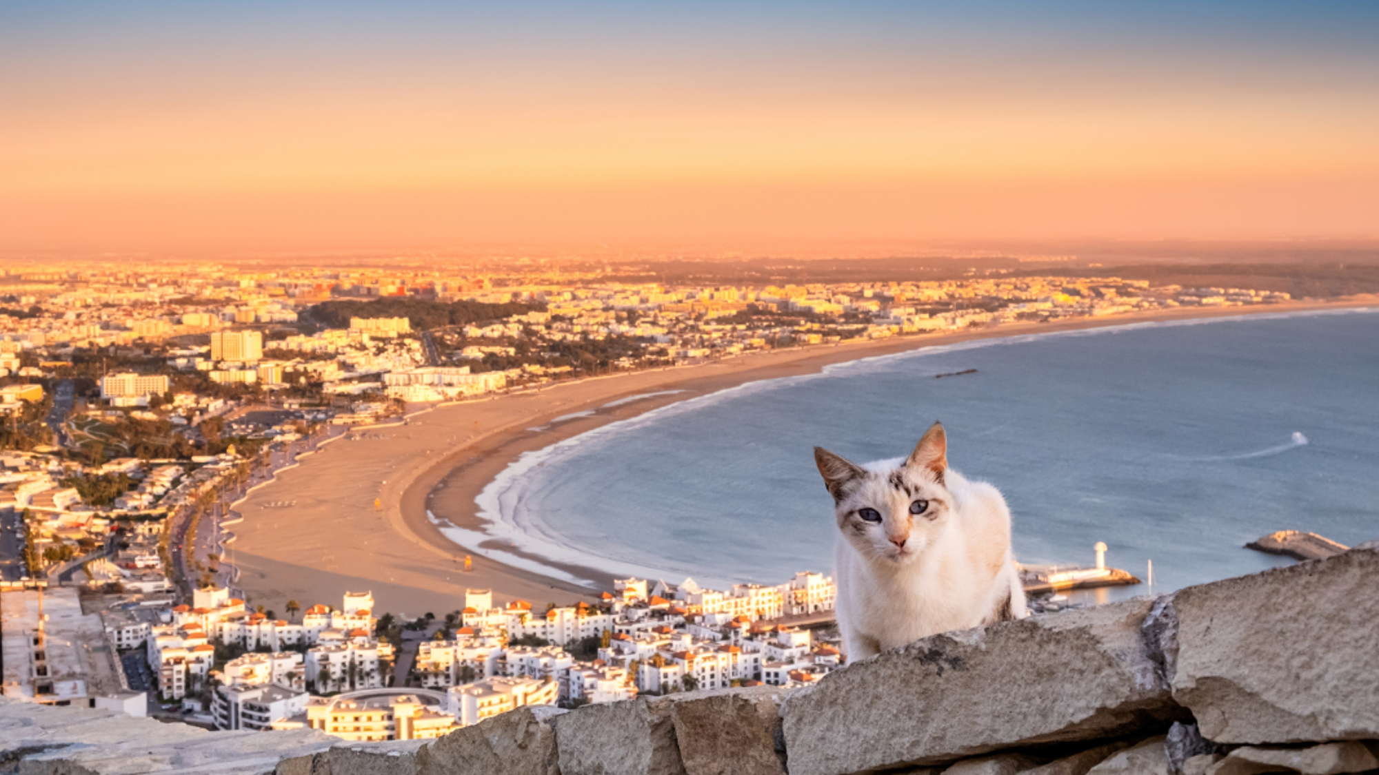 Profitez des vues sur la Baie d'Agadir