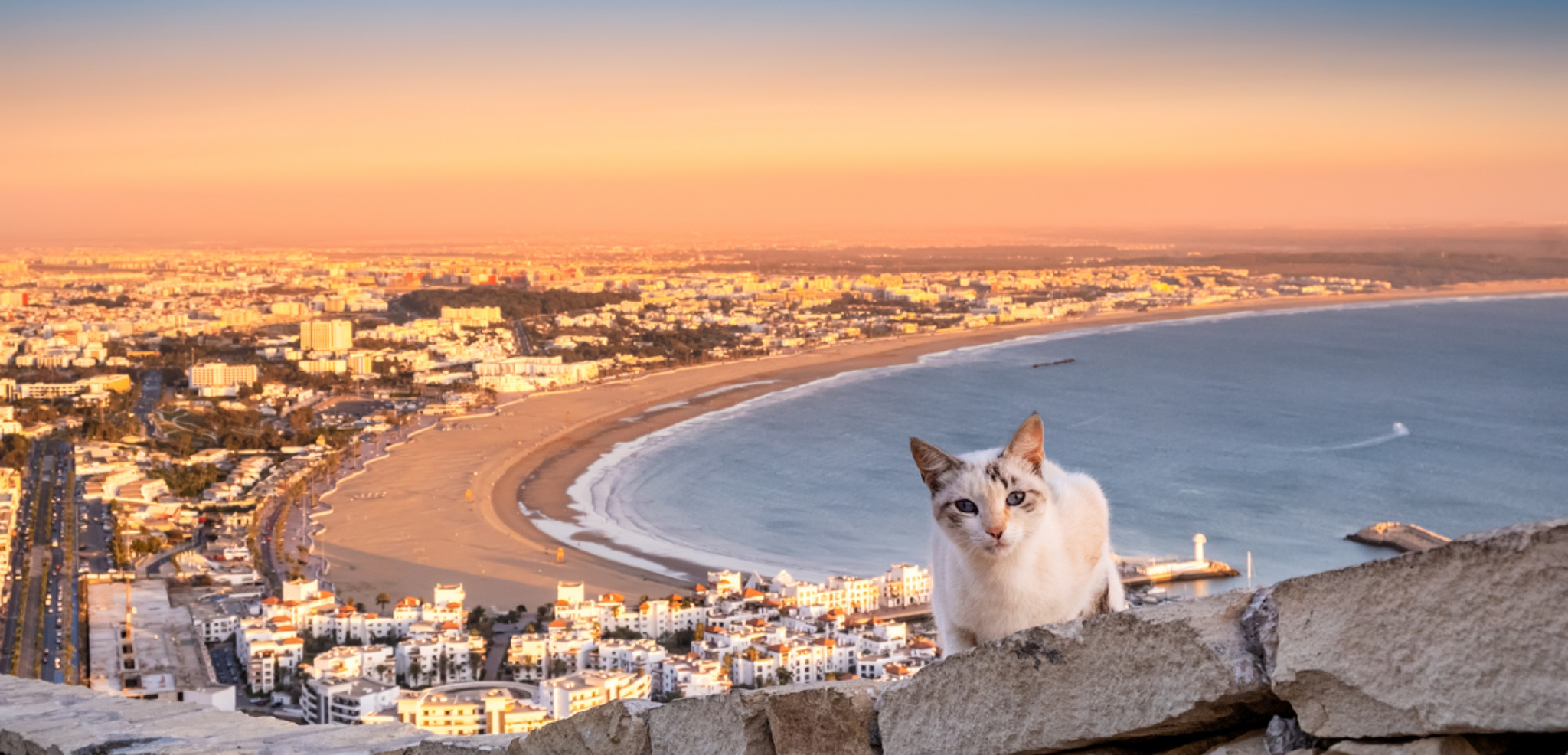 Profitez des vues sur la Baie d'Agadir
