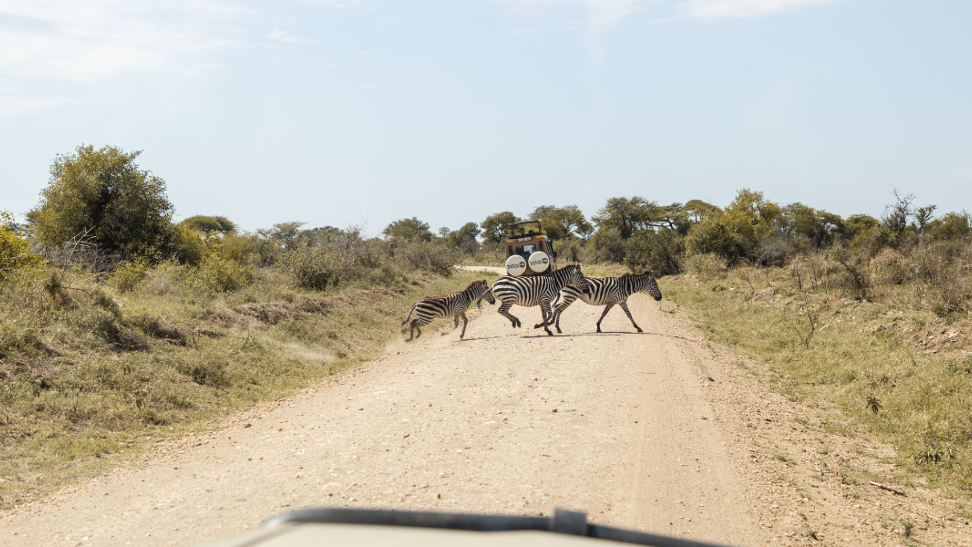 La priorité aux zèbres qui traversent la piste - jours 2 à 6