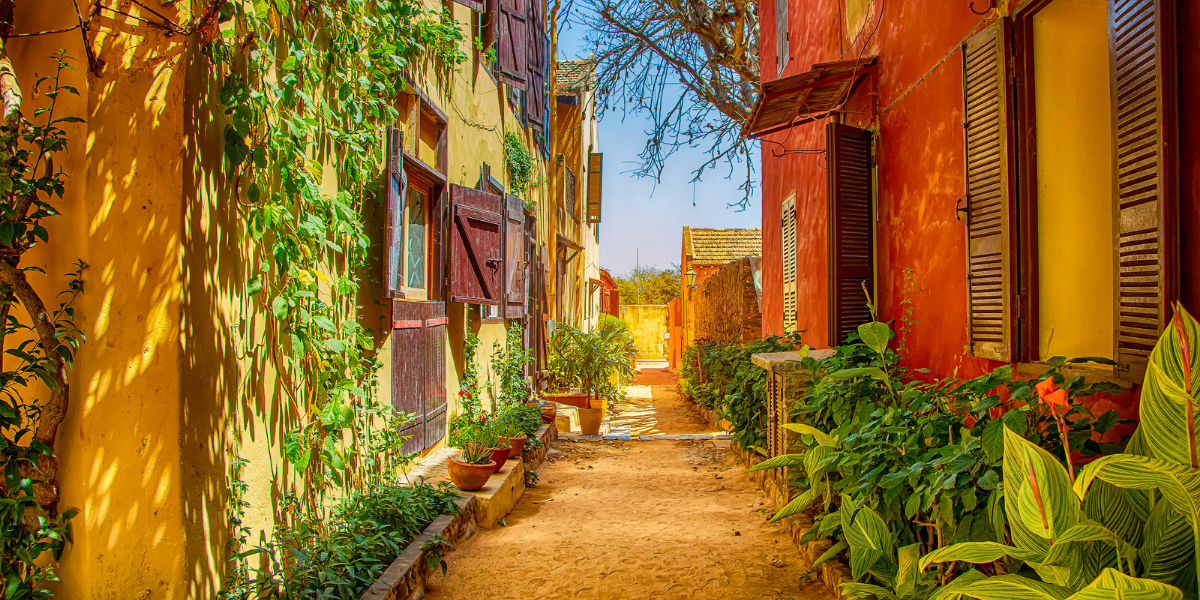 Ile de Gorée et ses maisons colorées