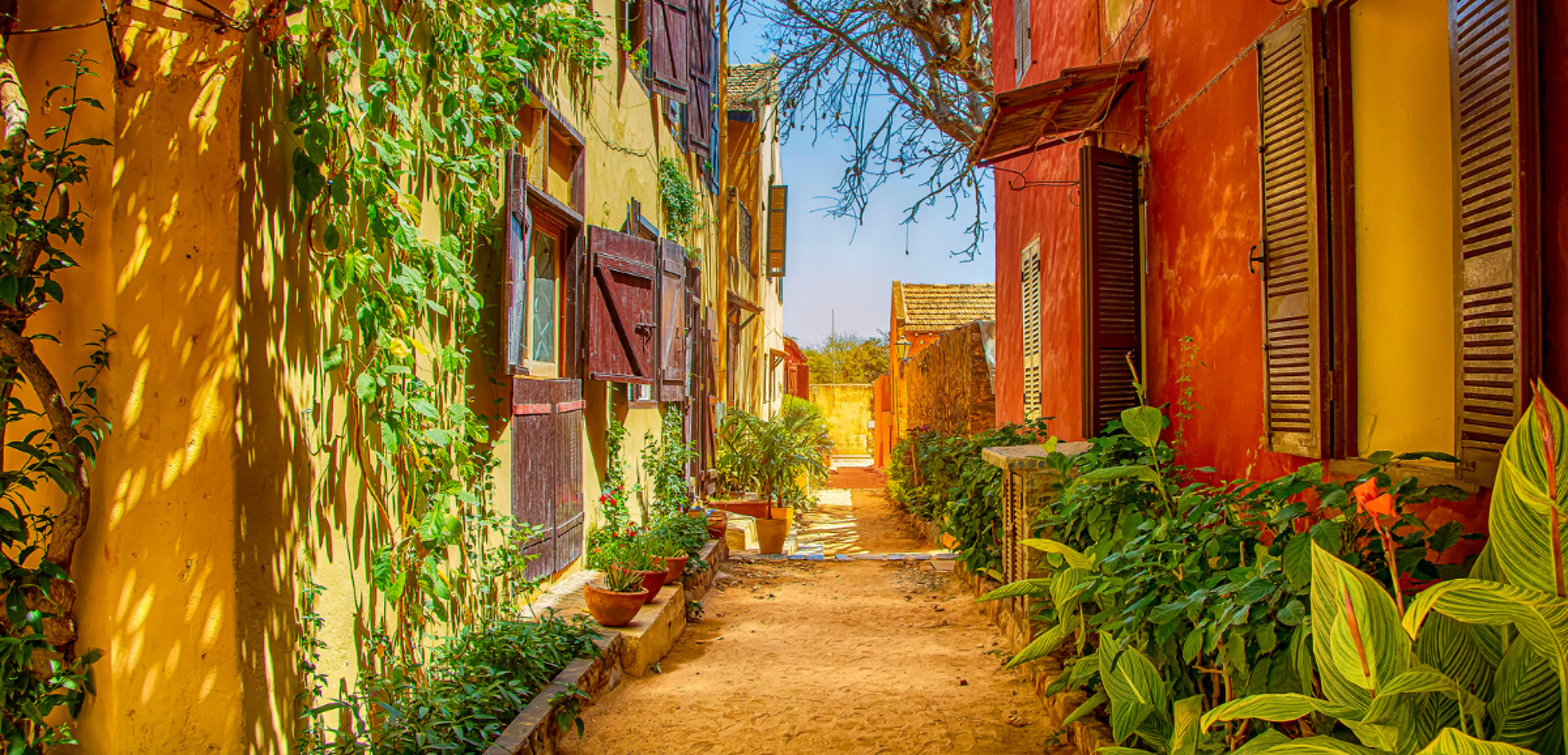 Ile de Gorée et ses maisons colorées