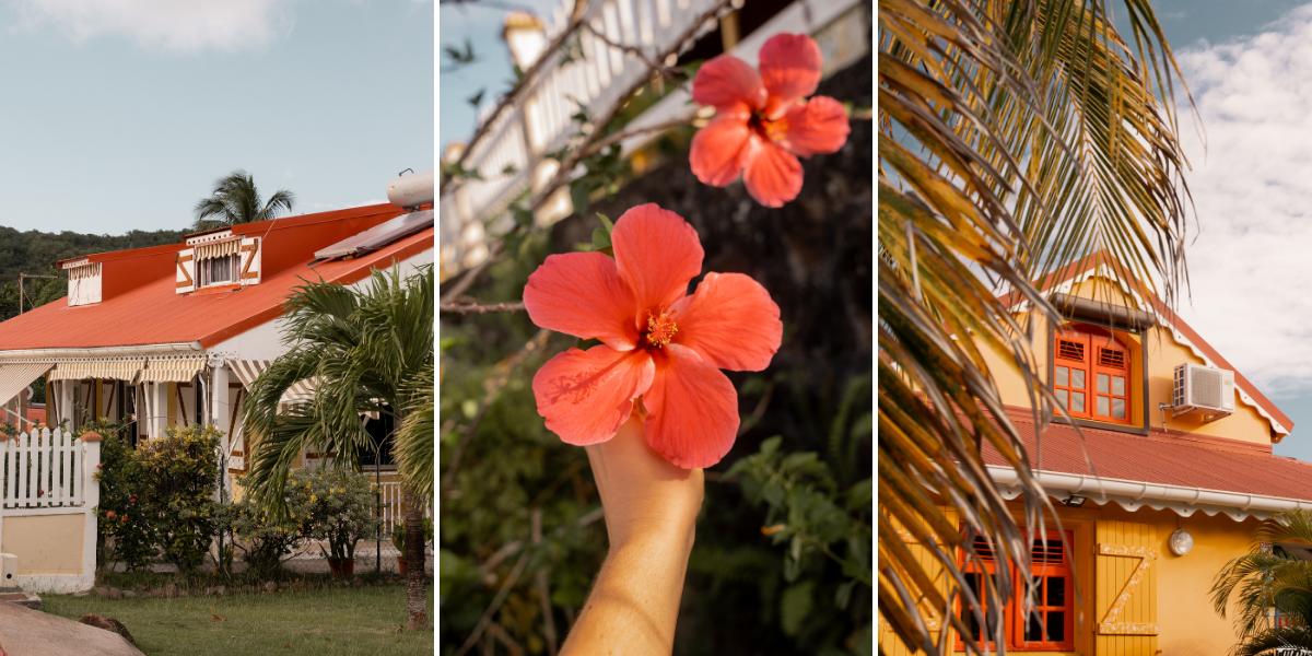 Îlets Pigeon, Guadeloupe