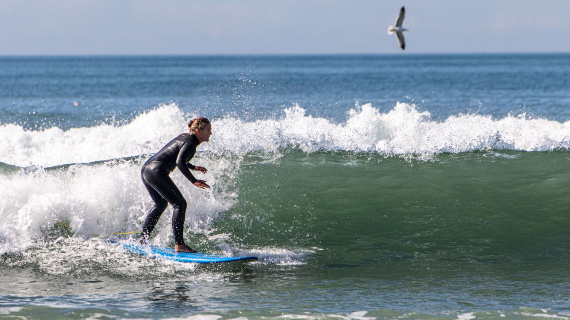 Chaque jour, deux sessions de surf