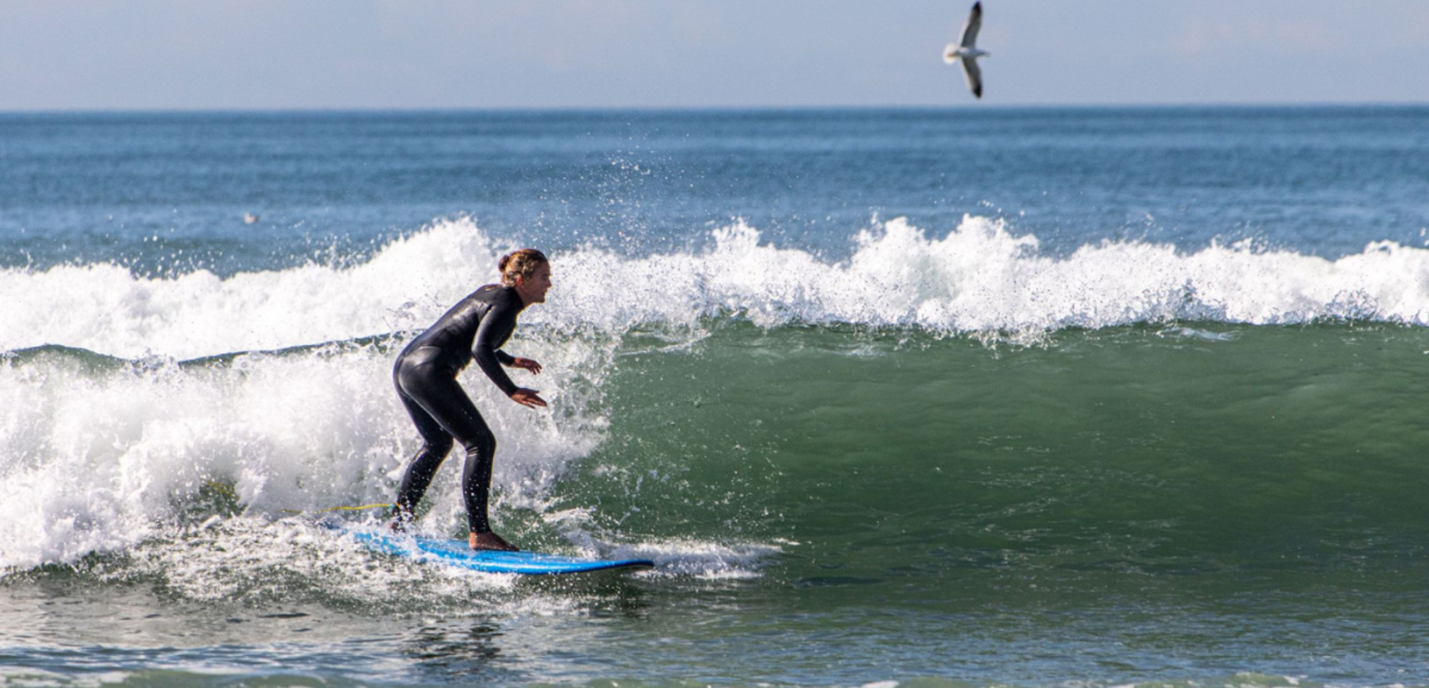 Chaque jour, deux sessions de surf