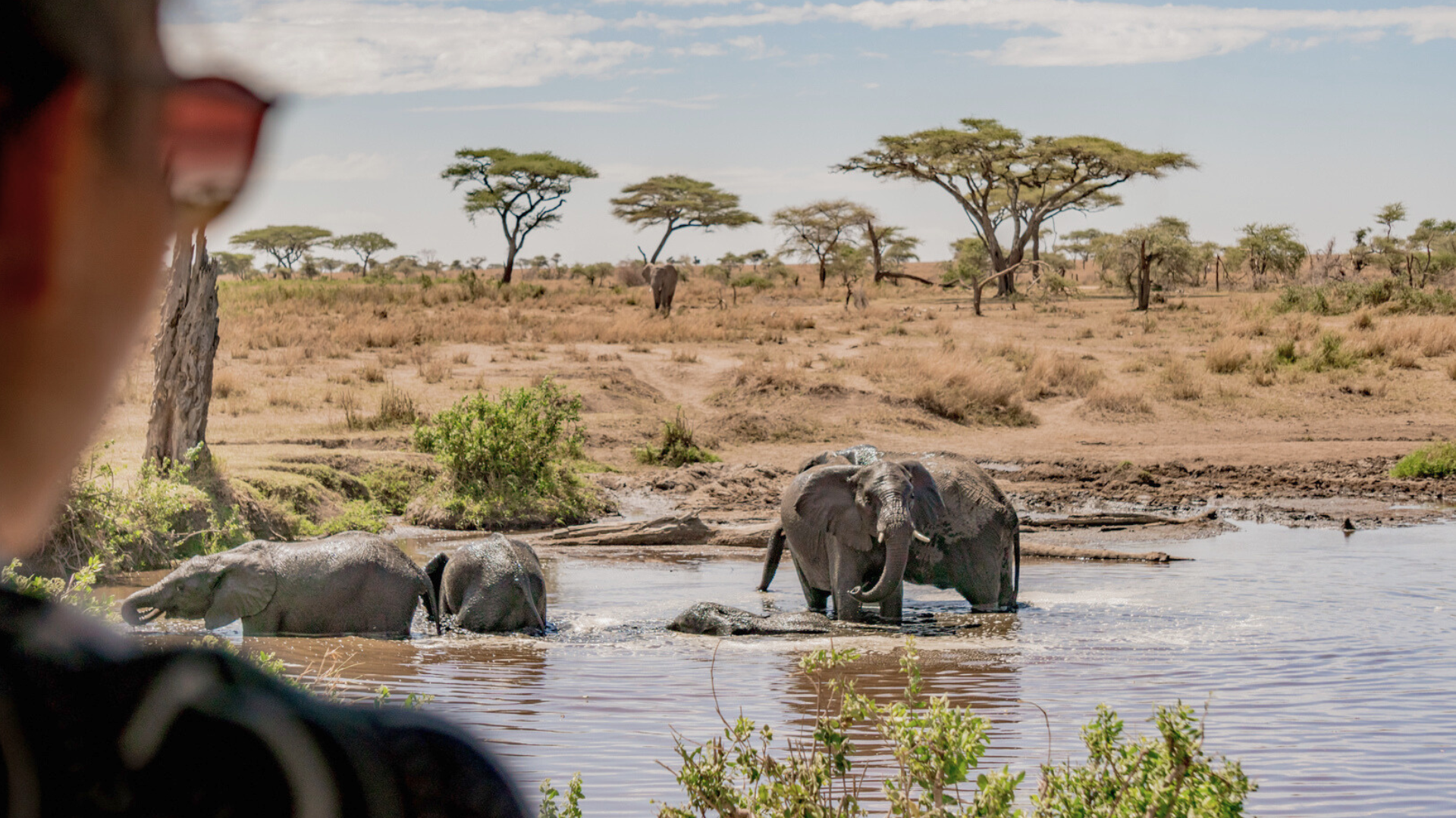 Le lac Manyara et ses éléphants, jour 2