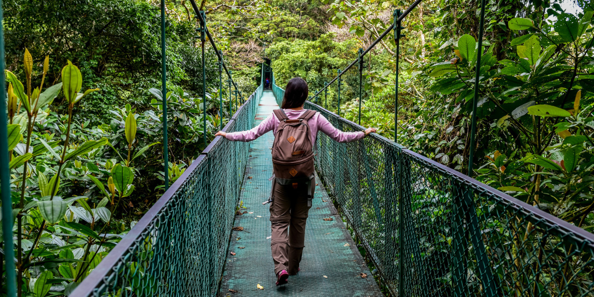 Place à la magie de la forêt de Monteverde à travers les ponts suspendus - jour 7 