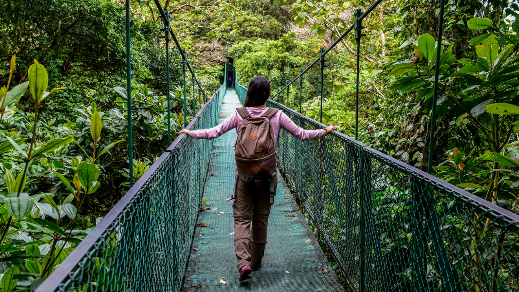 Place à la magie de la forêt de Monteverde à travers les ponts suspendus - jour 7