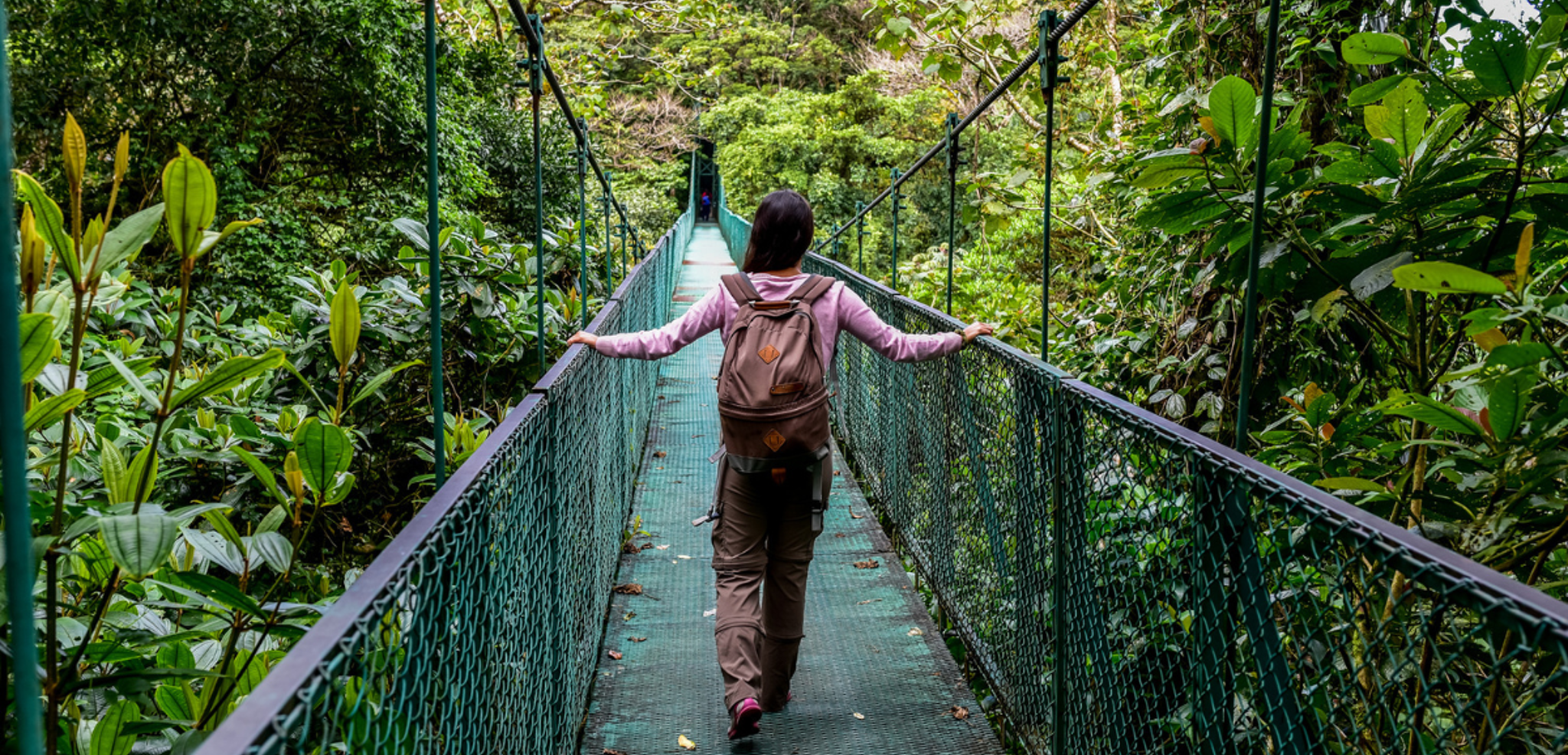 Place à la magie de la forêt de Monteverde à travers les ponts suspendus - jour 7