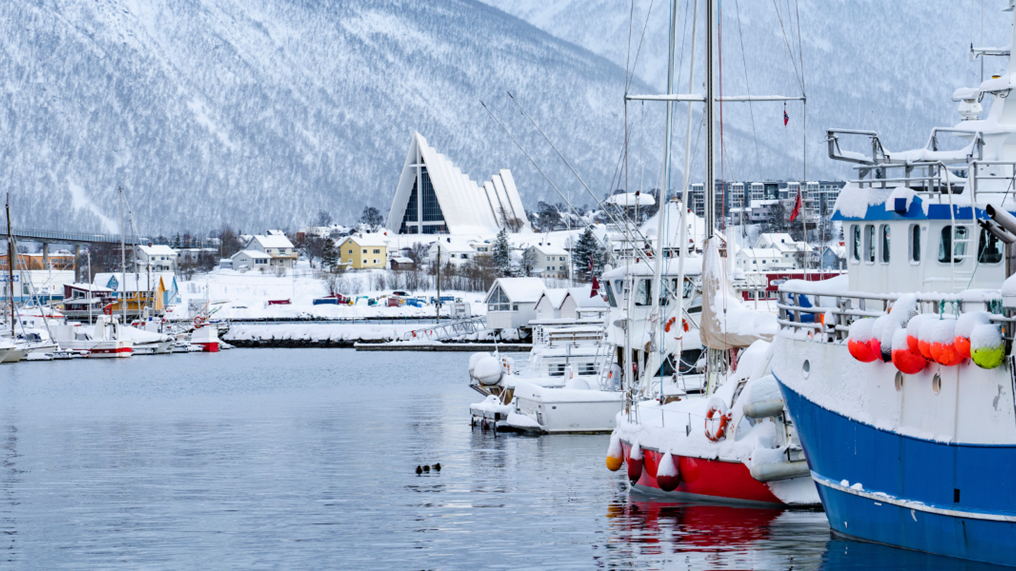 Vos premiers pas dans la « capitale de l’Arctique » : Tromsø - jours 1, 2 et 8