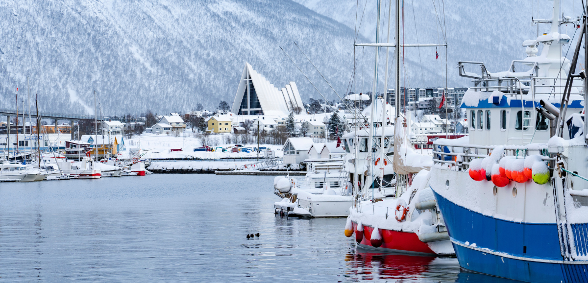 Vos premiers pas dans la « capitale de l’Arctique » : Tromsø - jours 1, 2 et 8