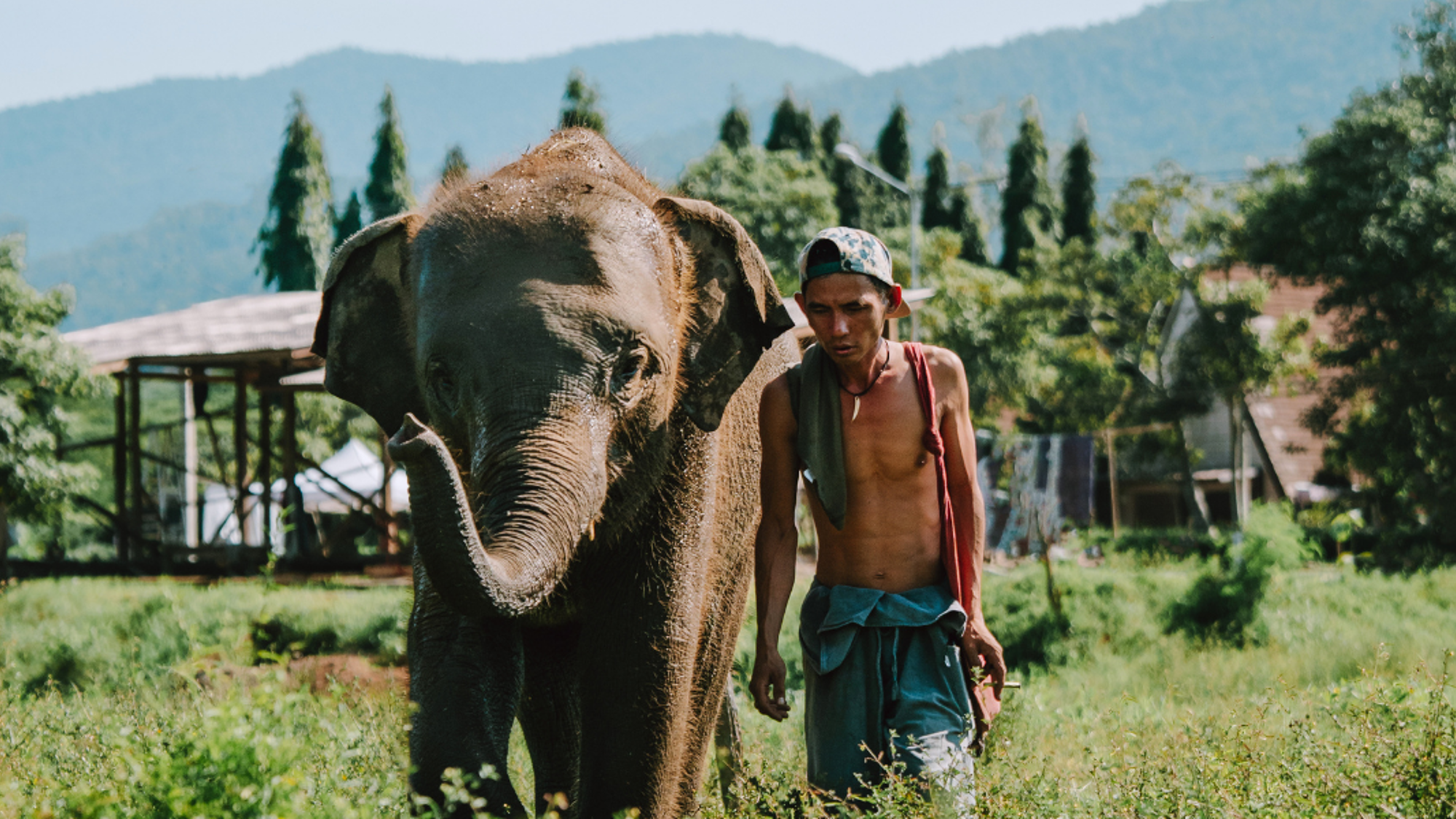 Rencontre avec les éléphants avec Chi, Thaïlande ©Pauline Simon