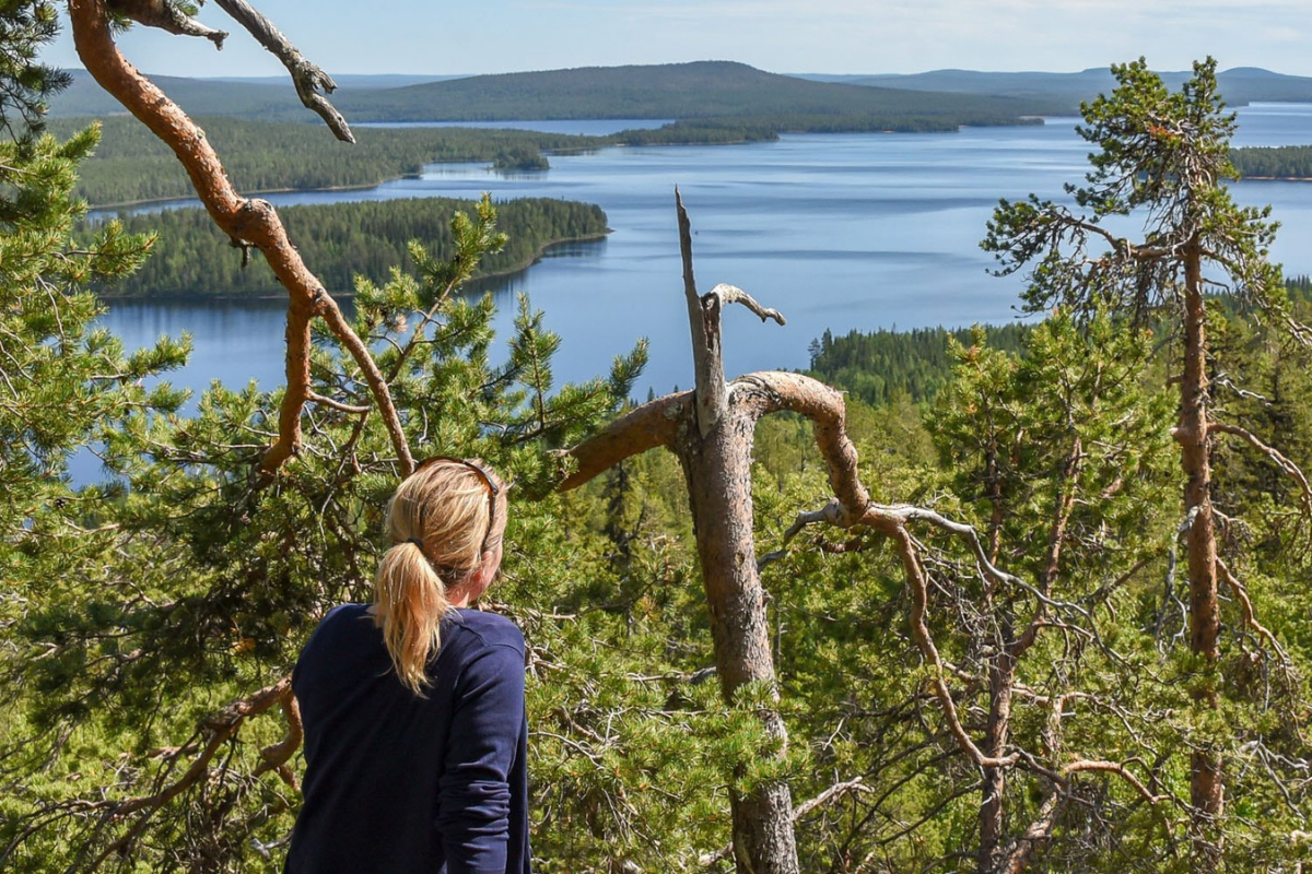 Point de vue sur le lac Miekojärvi 