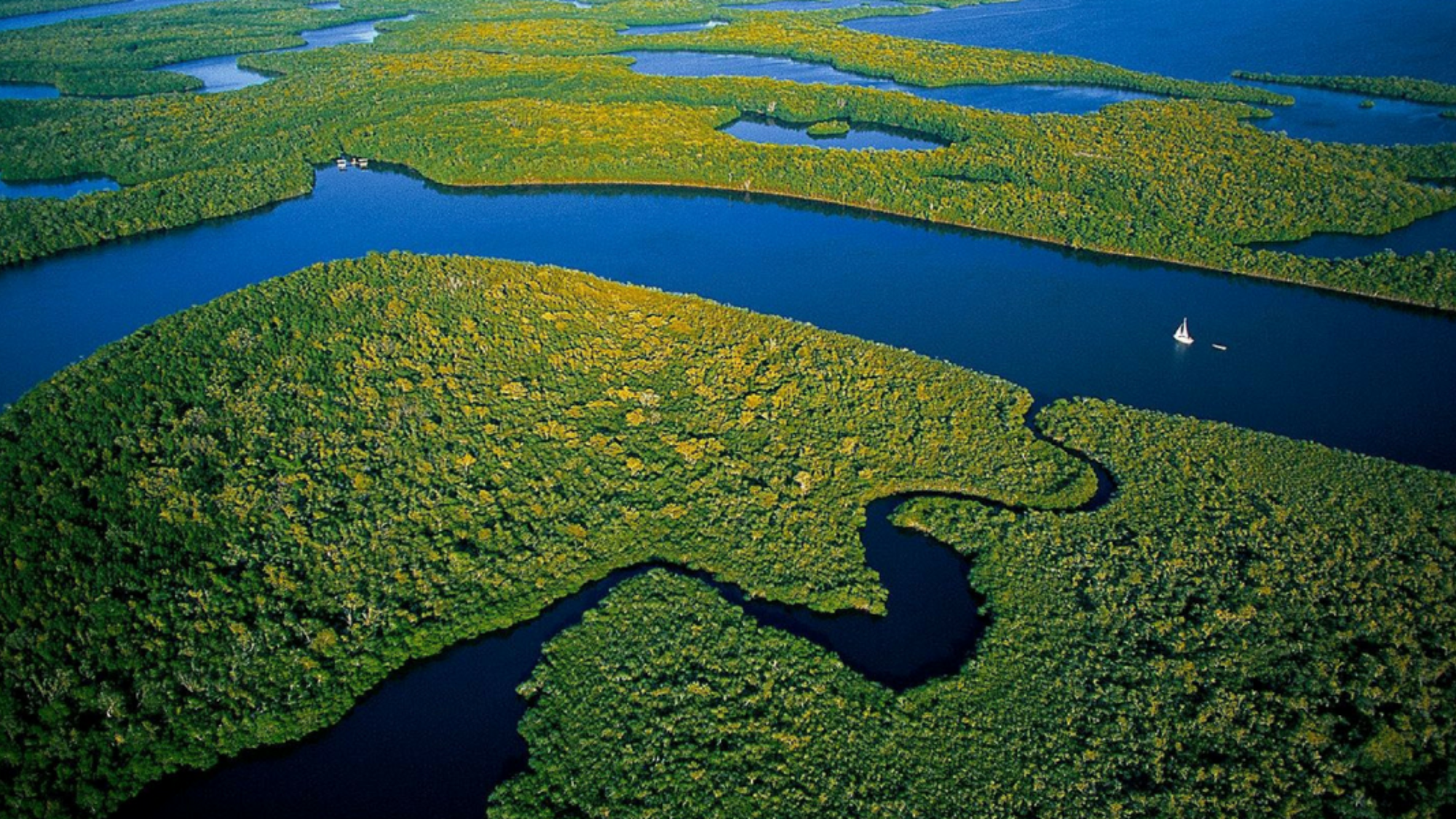 Direction les Everglades