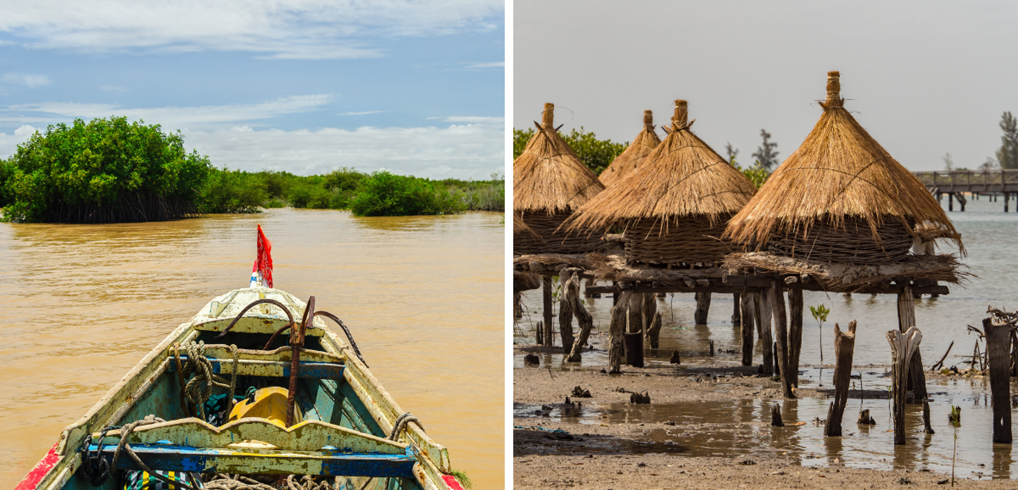 A travers les bolongs bordés de mangroves