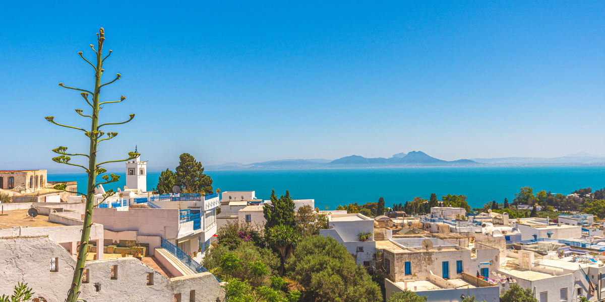 Votre vue panoramique depuis les hauteurs de Sidi Bou Saïd, jour 3