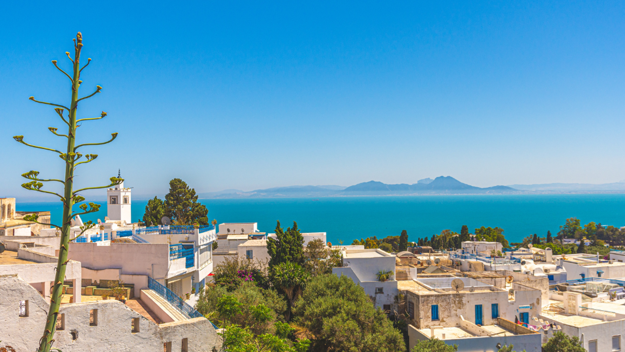 Votre vue panoramique depuis les hauteurs de Sidi Bou Saïd, jour 3
