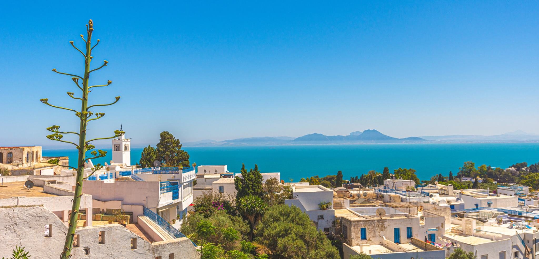 Votre vue panoramique depuis les hauteurs de Sidi Bou Saïd, jour 3