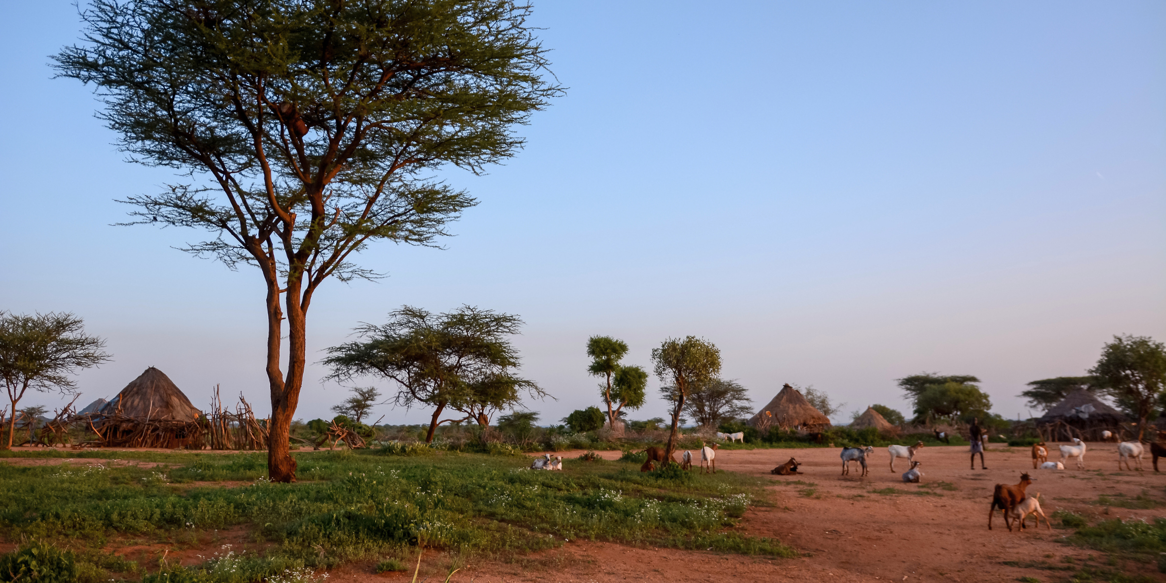 Village Hamer, Turmi, Ethiopie