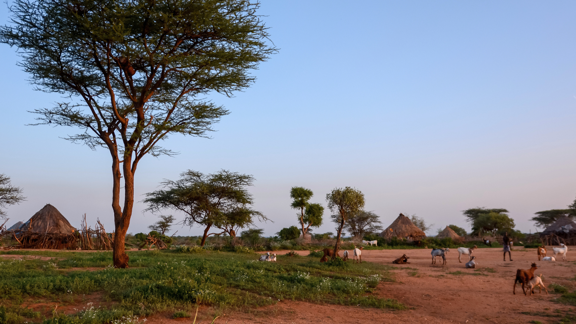 Village Hamer, Turmi, Ethiopie