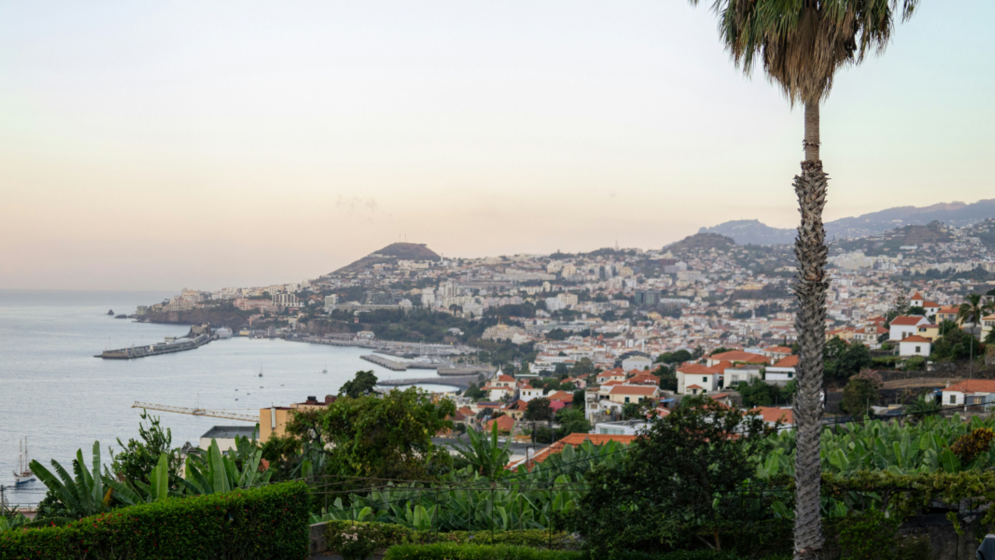 Funchal, Madère, Portugal ©Mick Kirchman/ Unsplash