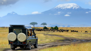 Bienvenue au Kenya !