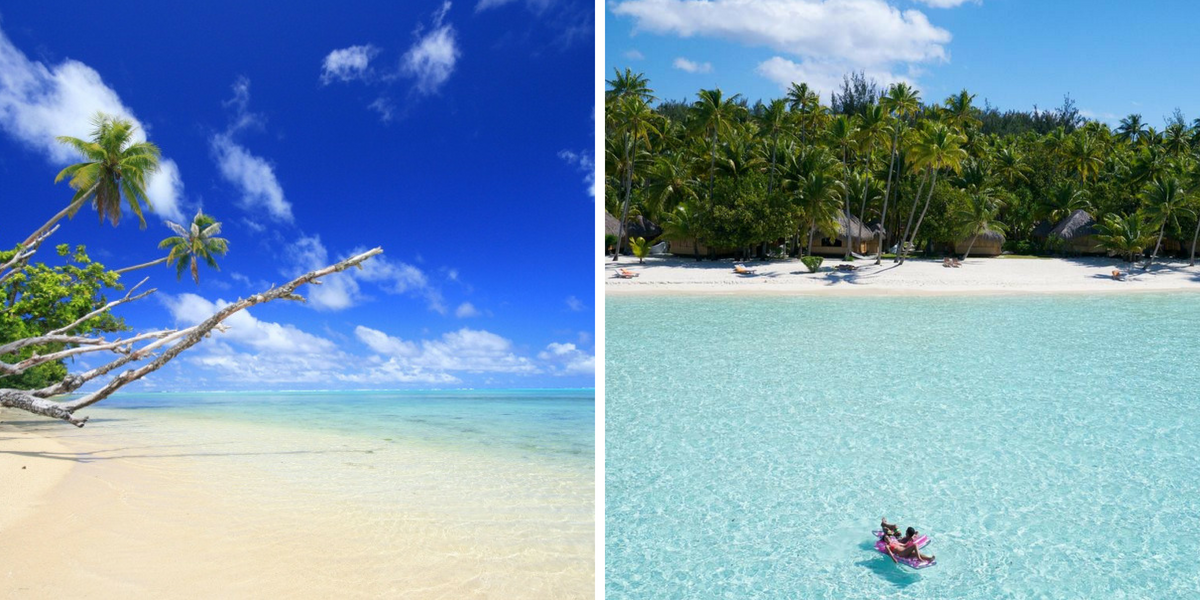 Rejoignez l'aventure ! 