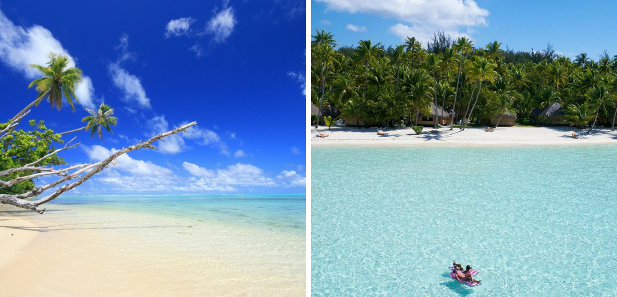 Rejoignez l'aventure !