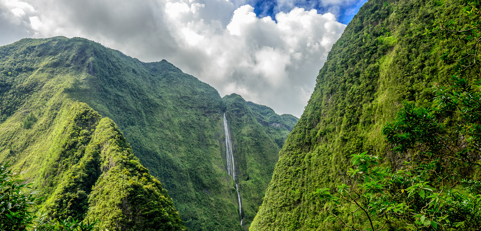 Bienvenue sur l'île intense !