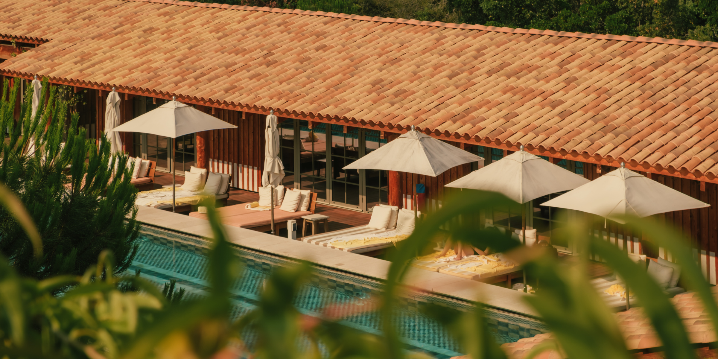 Lily of the Valley, Golfe de Saint Tropez