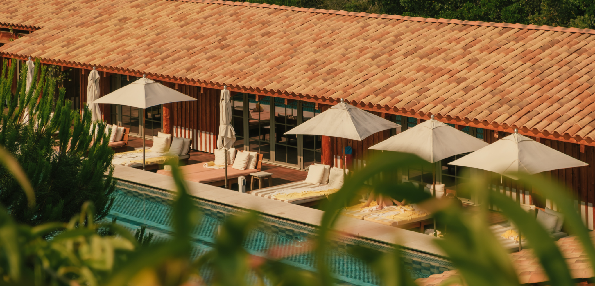 Lily of the Valley, Golfe de Saint Tropez