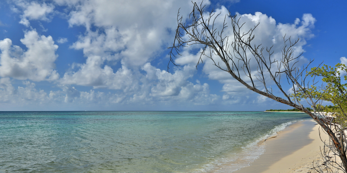 Des plages paradisiaques...