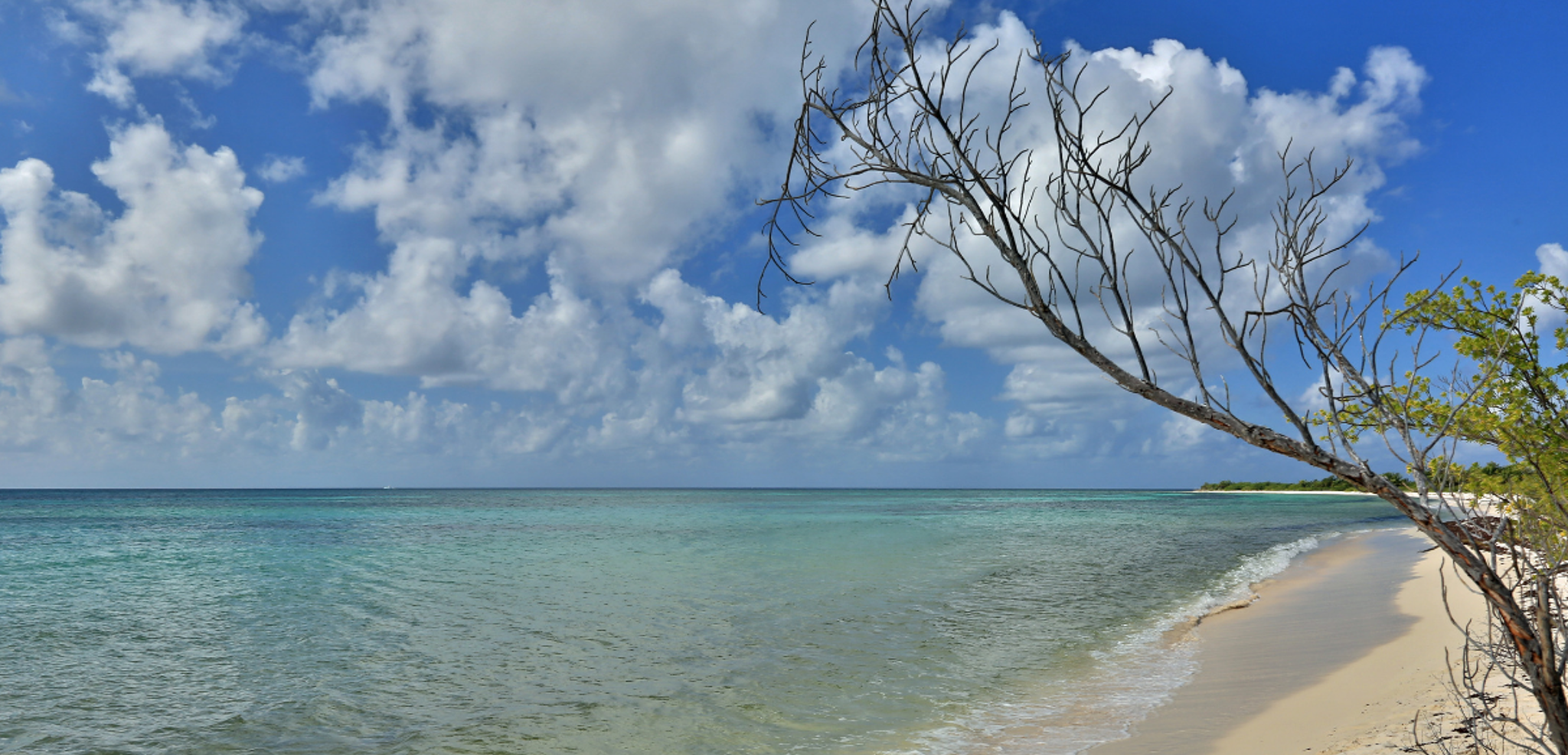 Des plages paradisiaques...