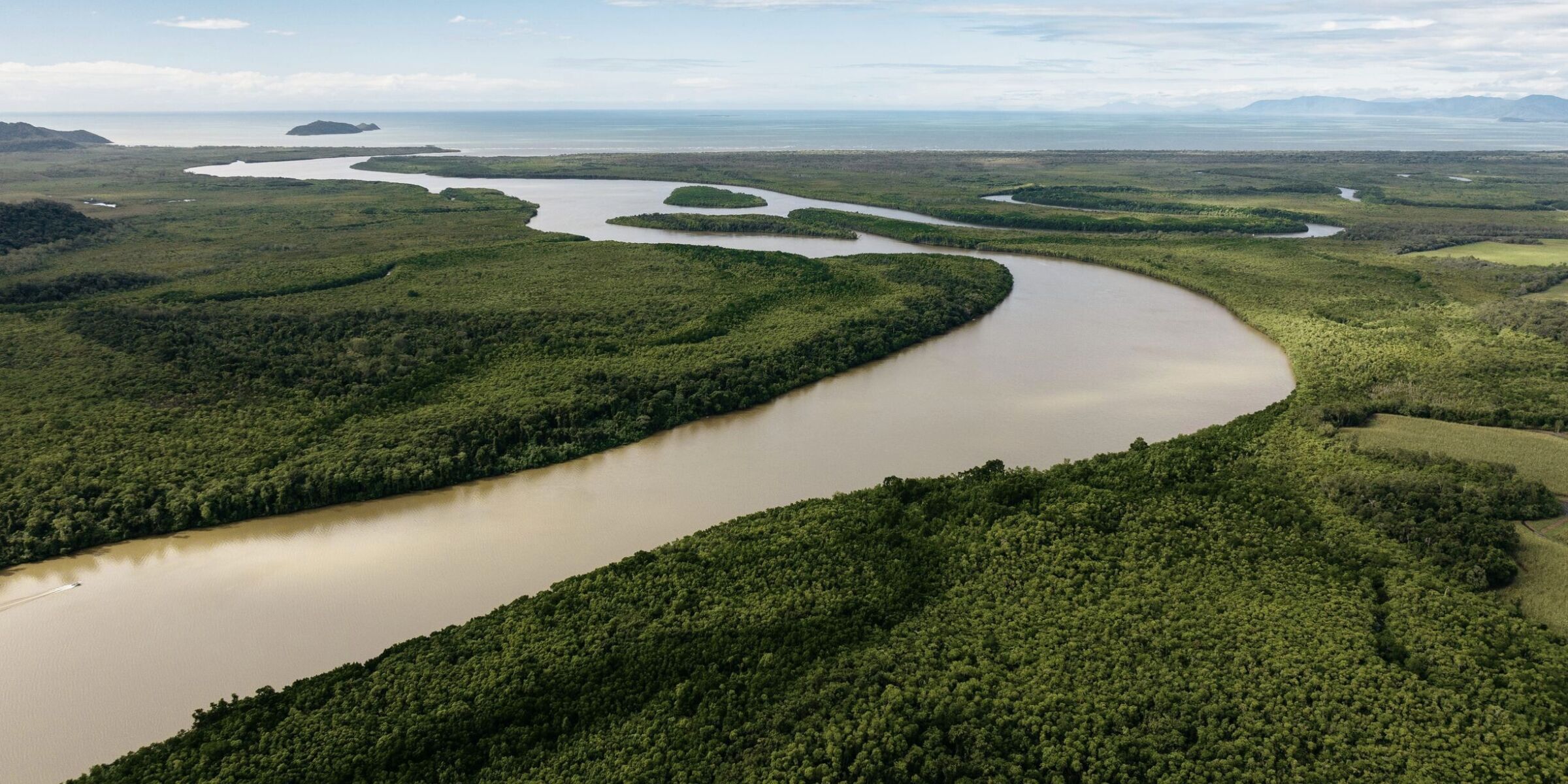Daintree National Park, Australie