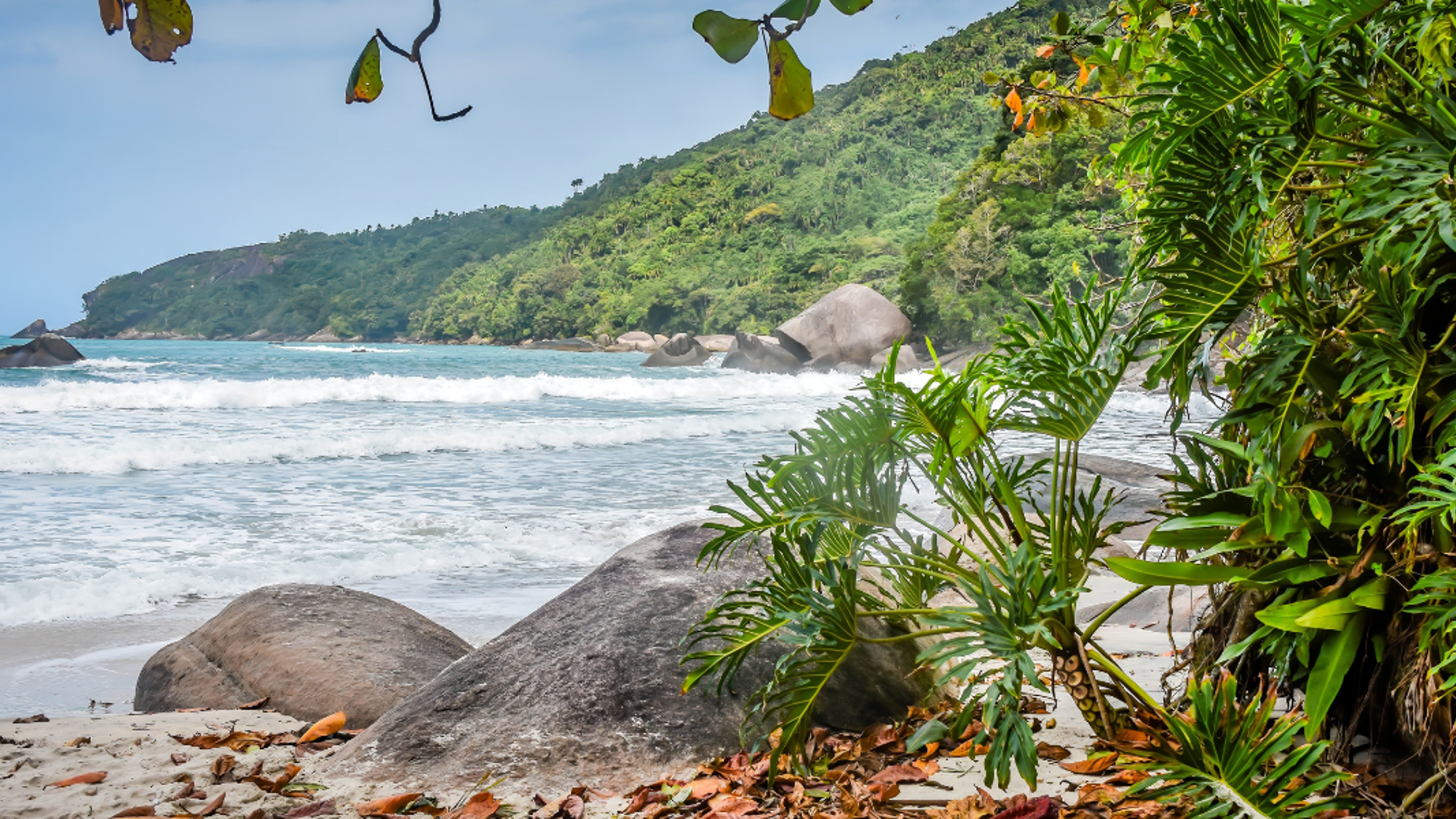 La plage de Trinidade, Paraty, jour 8