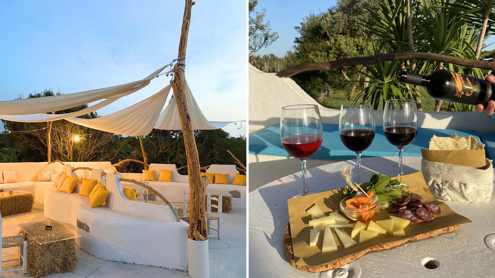 Dégustation de vins ©