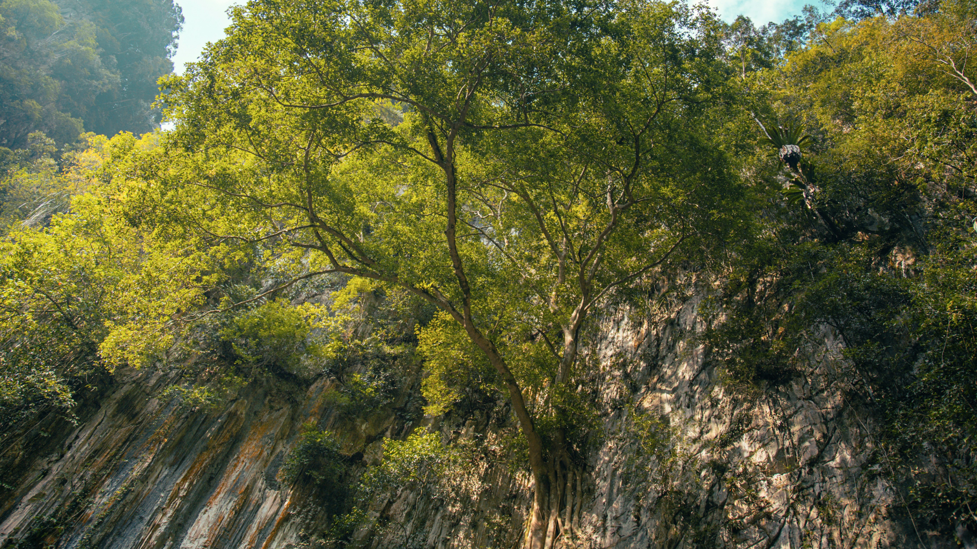 Ipoh, Malaisie ©Jeremy Woon / Unsplash