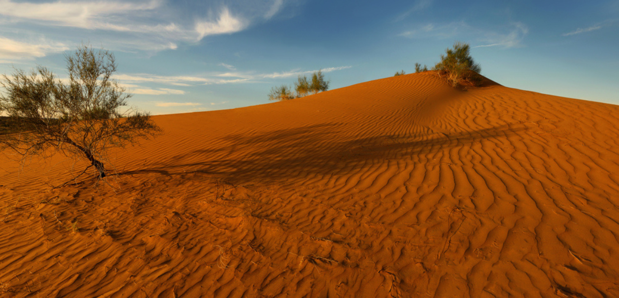 Désert rouge du Kuzyl Kum