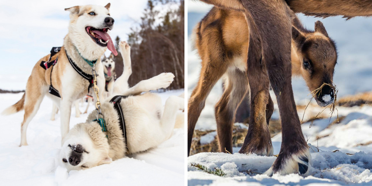 Pour une semaine en bonne compagnie !
