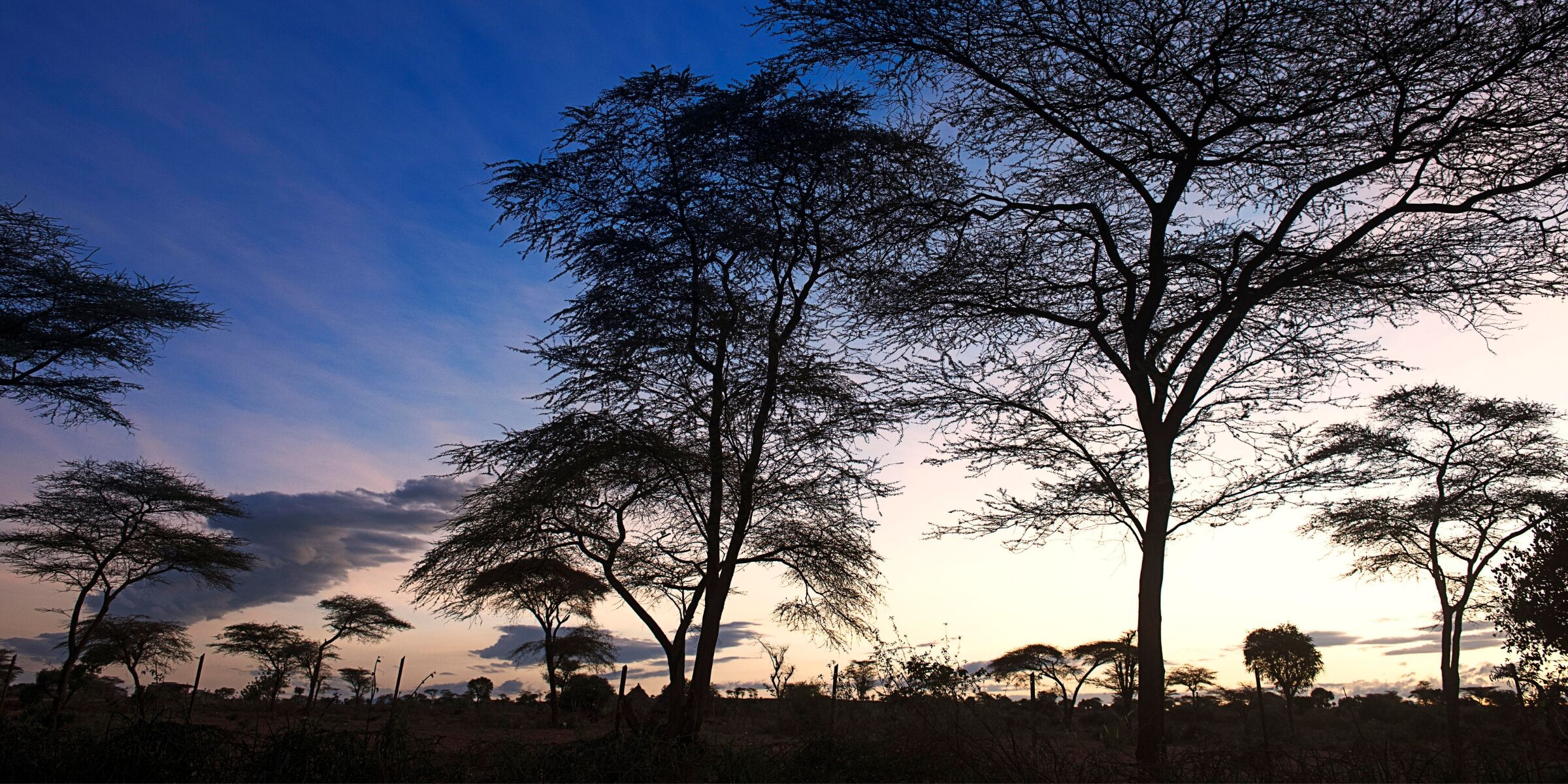 Turmi, Vallée de l'Omo, Ethiopie
