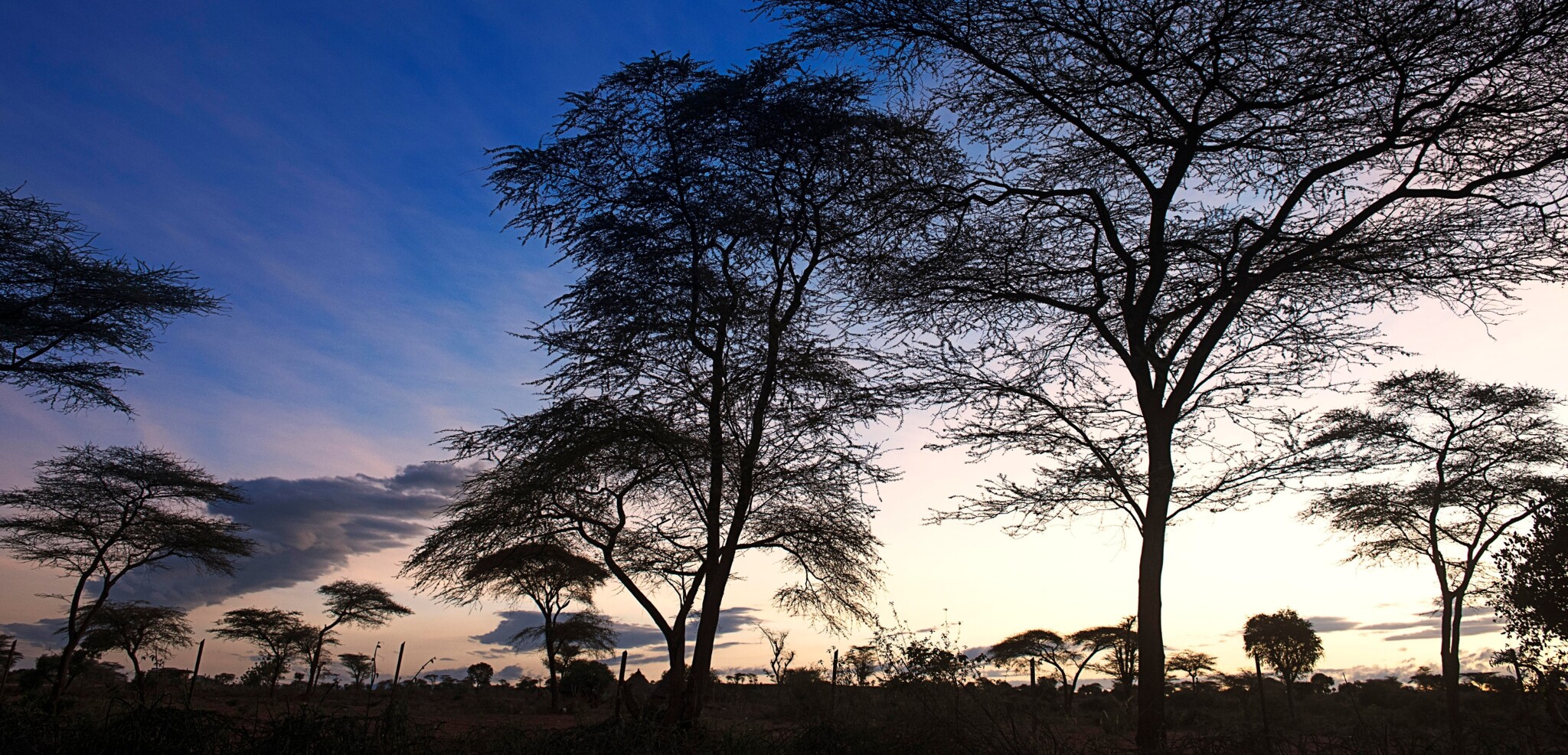 Turmi, Vallée de l'Omo, Ethiopie